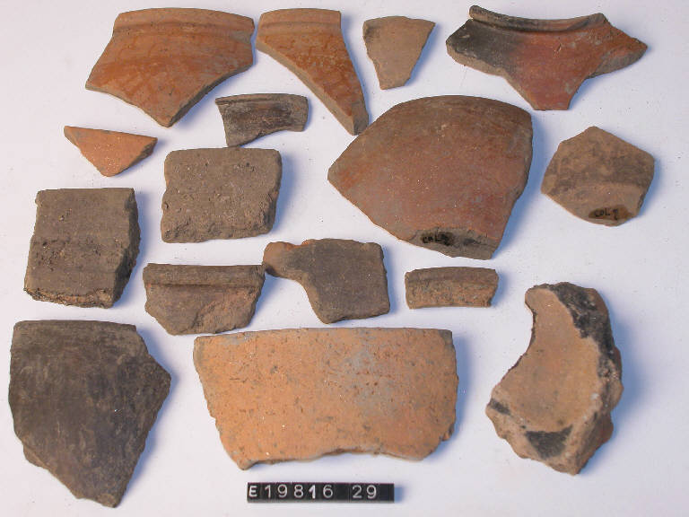 coppa (frammento di) - cultura di Golasecca (secc. V/ IV a.C.)