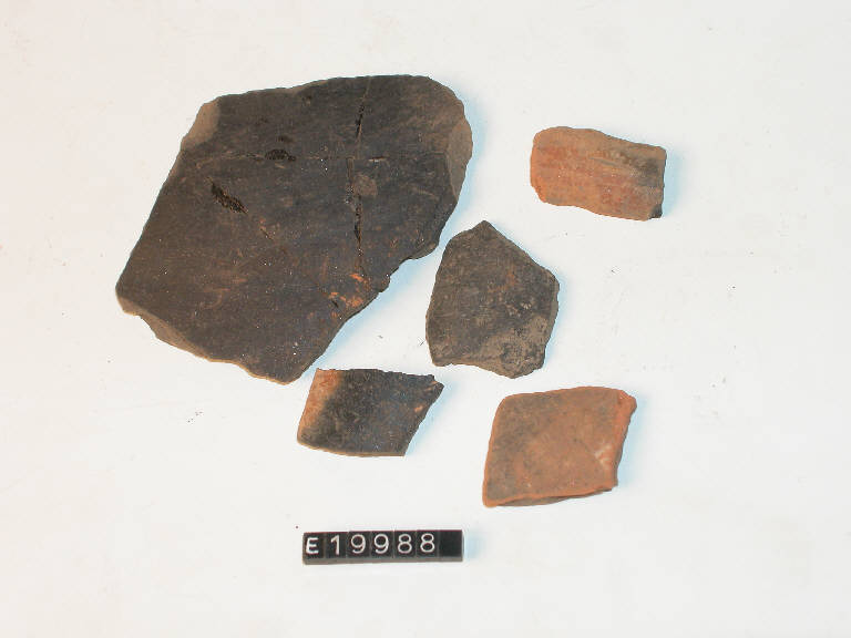 vasi (frammenti di) - cultura di Golasecca (secc. IX/ IV a.C.)