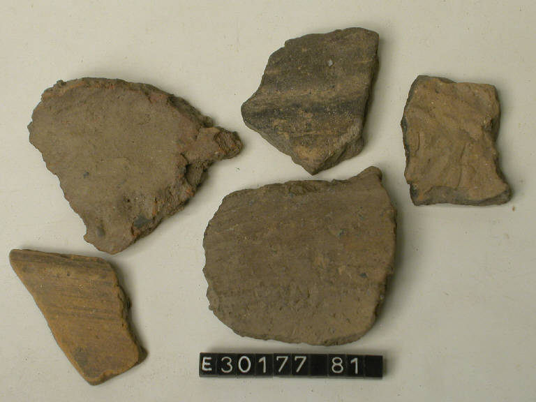 vaso (frammento di) - cultura La Tène (sec. I a.C.)