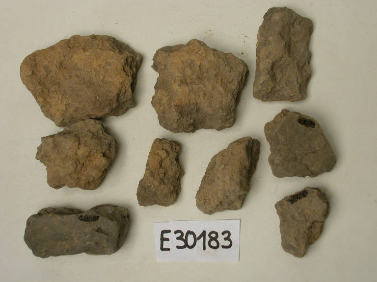 concotti (frammenti di) - cultura di Golasecca (secc. V/ IV a.C.)
