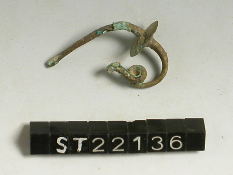 fibula ad arco serpeggiante - cultura di Golasecca (terzo quarto sec. VI a.C.)