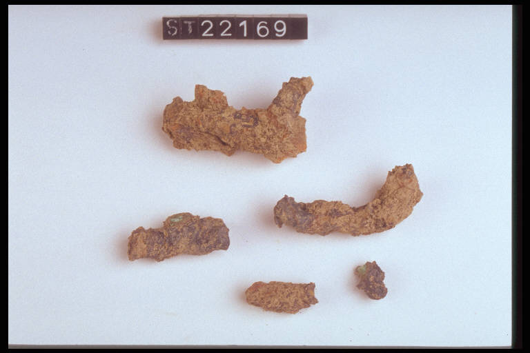 gancio di cintura o cinturone - cultura di Golasecca (fine/inizio secc. VI/ V a.C.)