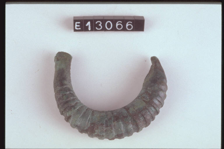 fibula a sanguisuga - cultura di Golasecca (sec. IX a.C.)