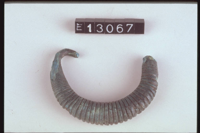 fibula a sanguisuga - cultura di Golasecca (sec. IX a.C.)