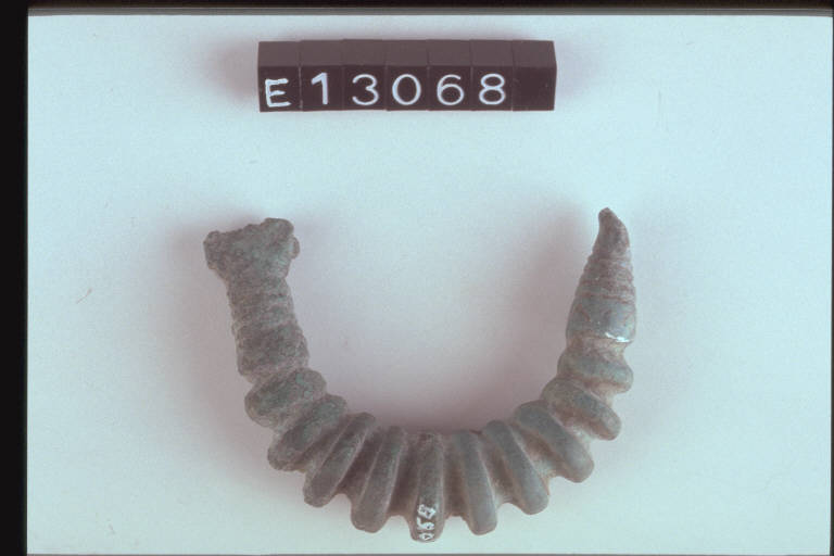 fibula a grandi coste, tipo Moerigen - cultura di Golasecca (secc. IX/ VIII a.C.)