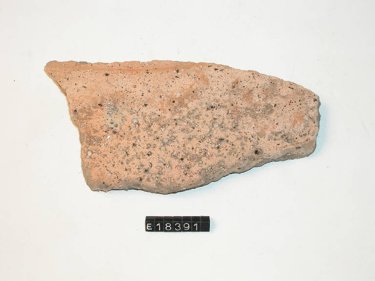 vaso - Cultura di Golasecca (secc. V/ IV a.C.)