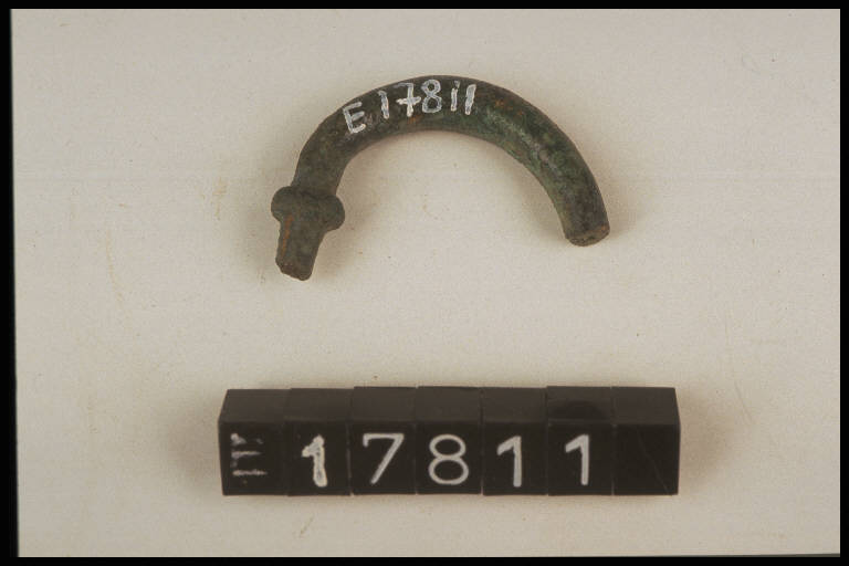 fibula ad arco serpeggiante - Cultura di Golasecca (secc. IX/ IV a.C.)