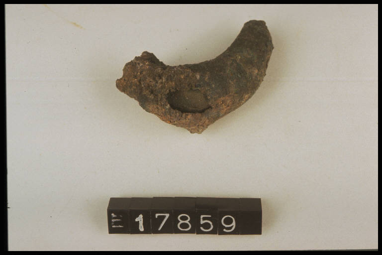 fibula a sanguisuga - Cultura di Golasecca (secc. IX/ IV a.C.)