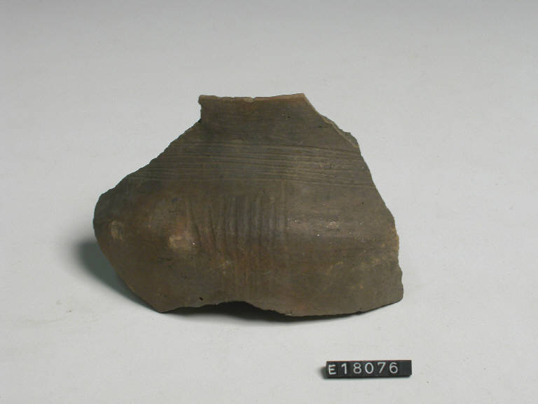 urna - Cultura di Golasecca (secc. X/ IX a.C.)