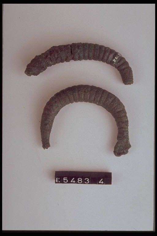 fibula a grandi coste - cultura di Golasecca (sec. IX a.C.)