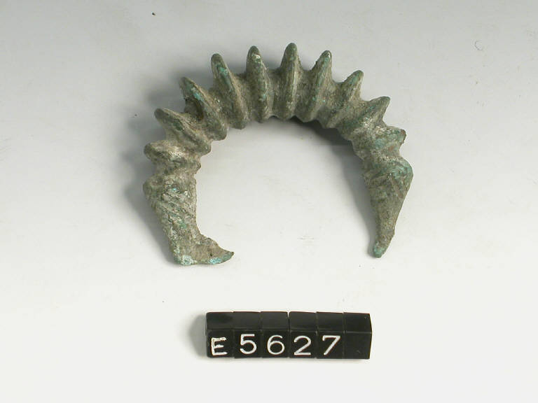 fibula a grandi coste - cultura di Golasecca (secc. IX/ VII a.C.)