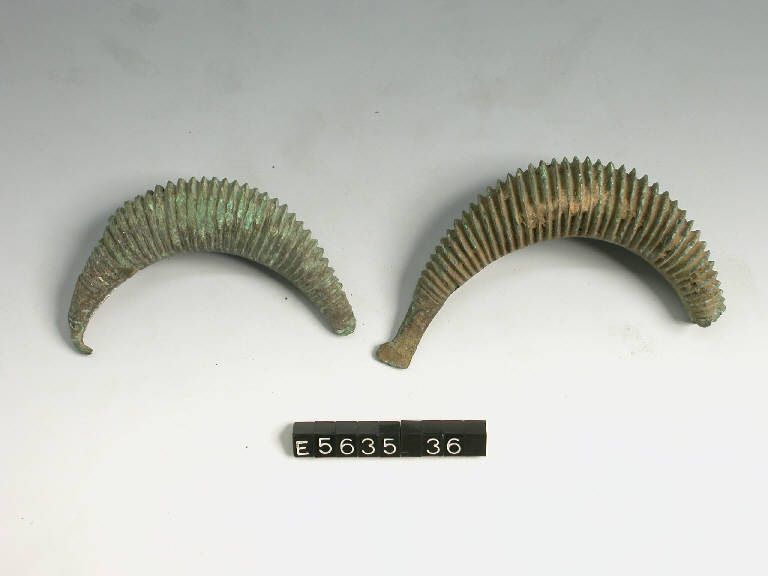 fibula a sanguisuga, DE MARINIS / tipo Mazzucca di Montanaso - cultura di Golasecca (terzo quarto sec. VI a.C.)