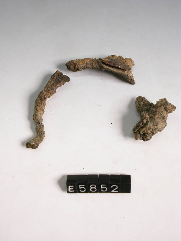fibula - cultura di Golasecca (fine/inizio secc. V/ IV a.C.)