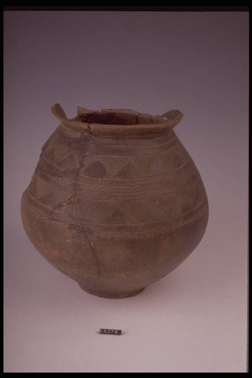 urna - cultura di Golasecca (terzo quarto sec. VI a.C.)