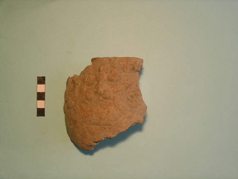 vaso troncoconico - cultura palafitticolo-terramaricola (Bronzo medio-recente)