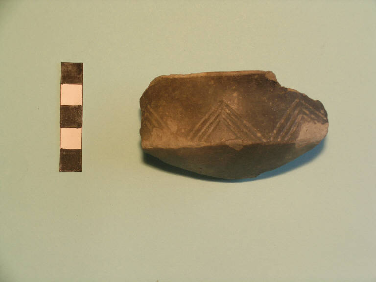 scodella carenata - cultura palafitticolo-terramaricola (Bronzo medio I)