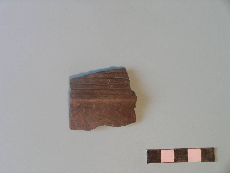 carena - cultura di Polada/palafitticolo-terramaricola (Bronzo antico II-medio I)