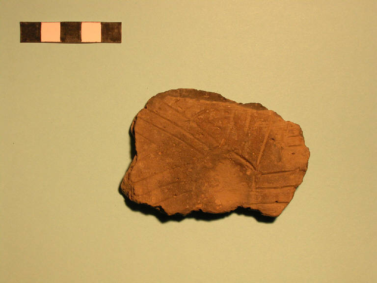 fondo ombelicato - cultura di Polada (Bronzo antico II)