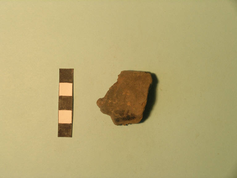 ansa subcutanea - cultura di Polada/palafitticolo-terramaricola (Bronzo antico II-medio I)
