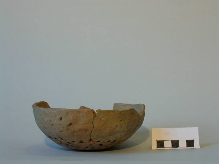 colatoio - cultura di Polada/palafitticolo-terramaricola (Bronzo antico II-medio I)