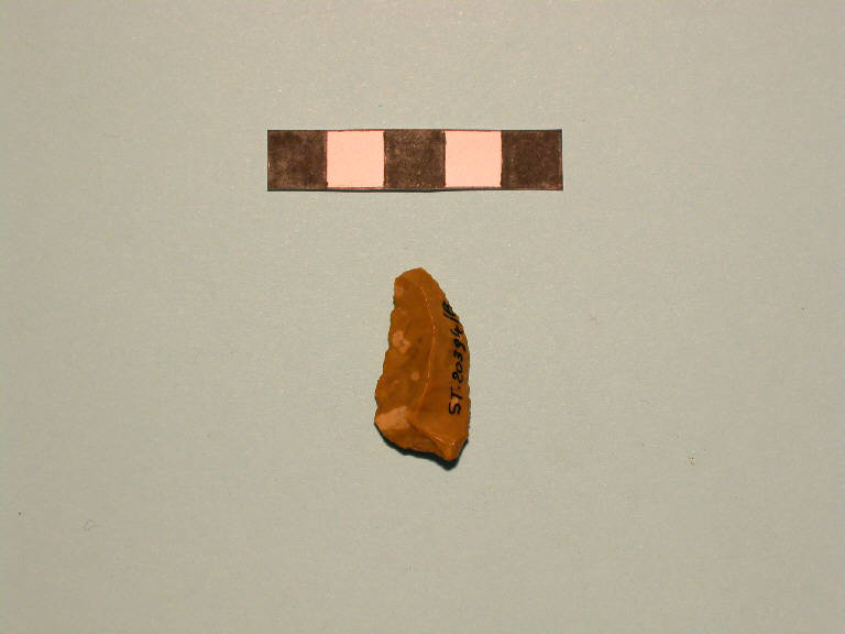 raschiatoio (?) - cultura di Polada/palafitticolo-terramaricola (Bronzo antico II-medio I)