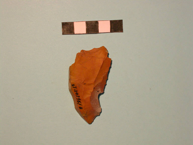 scheggia - cultura di Polada/palafitticolo-terramaricola (Bronzo antico II-medio I)