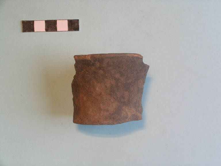 tazza tipo isolone - cultura palafitticolo-terramaricola (Bronzo medio I)