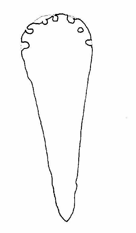 pugnale/ lama, a base semplice - cultura di Polada (Bronzo antico II)