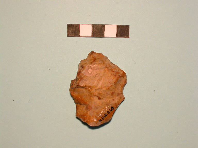 grattatoio - cultura di Polada/palafitticolo-terramaricola (Bronzo antico II-medio I)