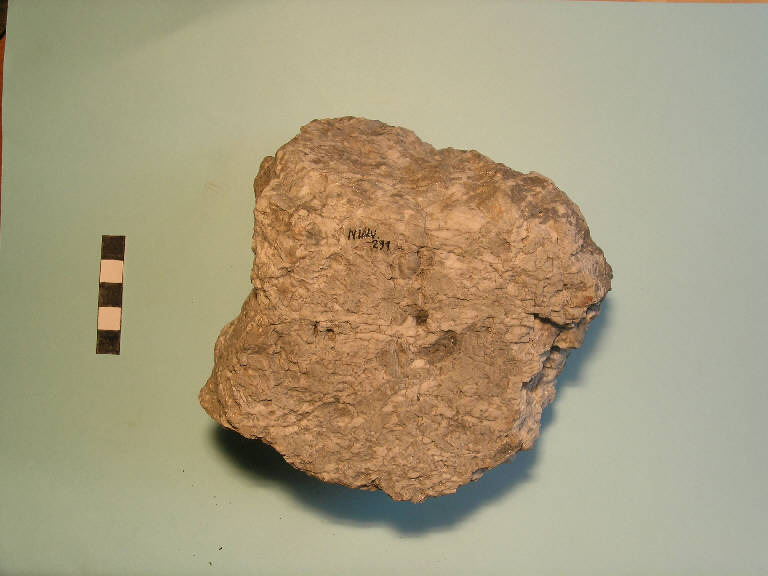 macina - cultura di Polada/palafitticolo-terramaricola (Bronzo antico II-medio I)