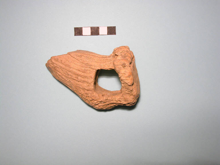 zappa - cultura di Polada/palafitticolo-terramaricola (Bronzo antico II-medio I)