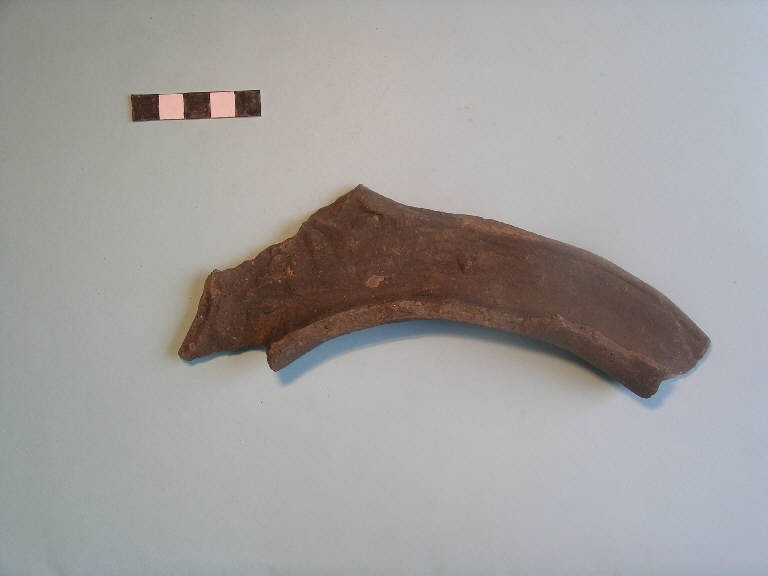 vaso biconico/ orlo - cultura palafitticolo-terramaricola (Bronzo medio I)