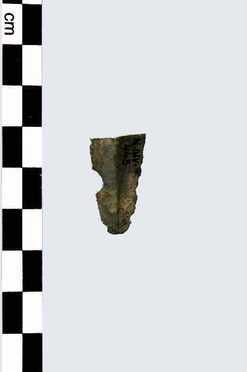 lama - Cultura palafitticolo-terramaricola (età del Bronzo Medio Recente)