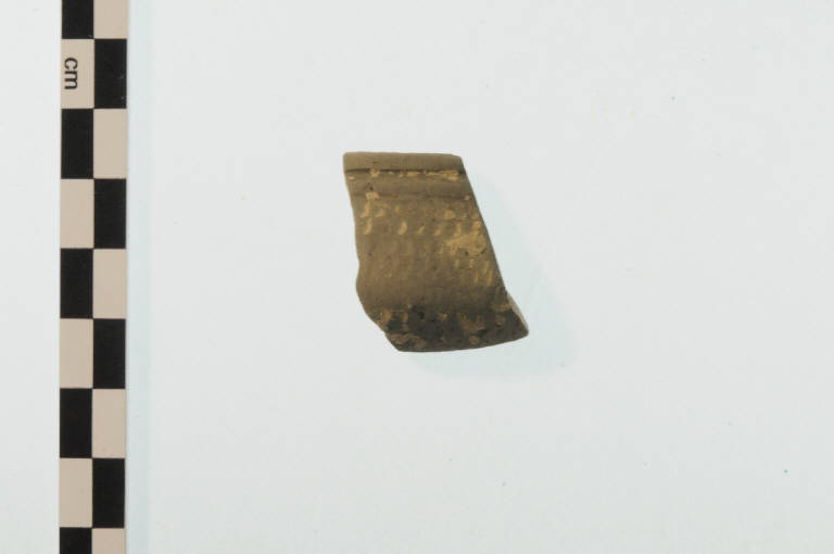 orlo di coppa emisferica, Marabini XXXVI - periodo romano (sec. I d.C.)