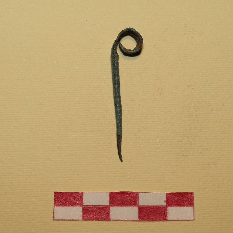 spillone a riccio - Bronzo finale - prima età del Ferro (secc. XI a.C./ VIII a.C.)