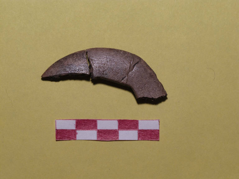 anello/frammento - Gruppo del Vhò - cultura di Fiorano (sec. XLIII a.C.)