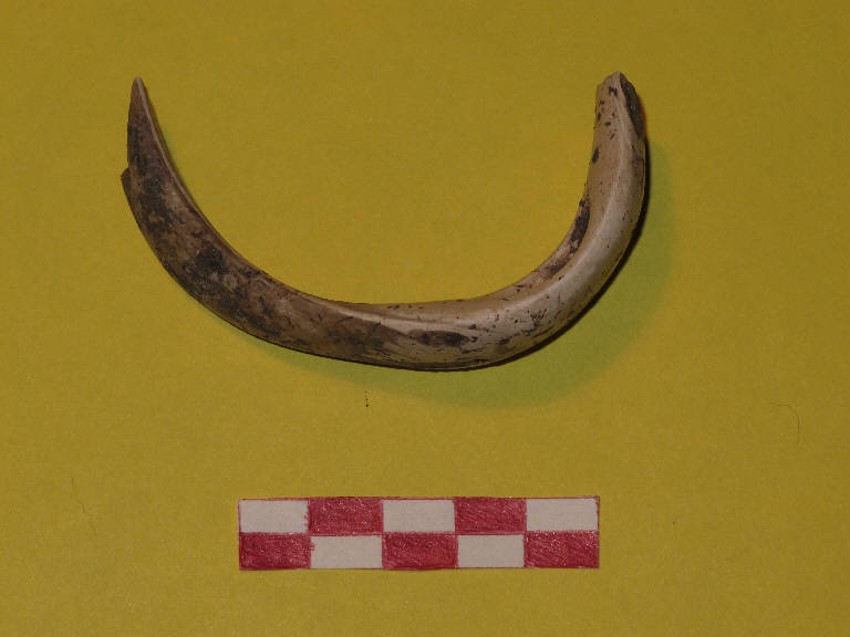 bracciale/forma parzialmente ricostruibile - Gruppo del Vhò - cultura di Fiorano (sec. XLIII a.C.)