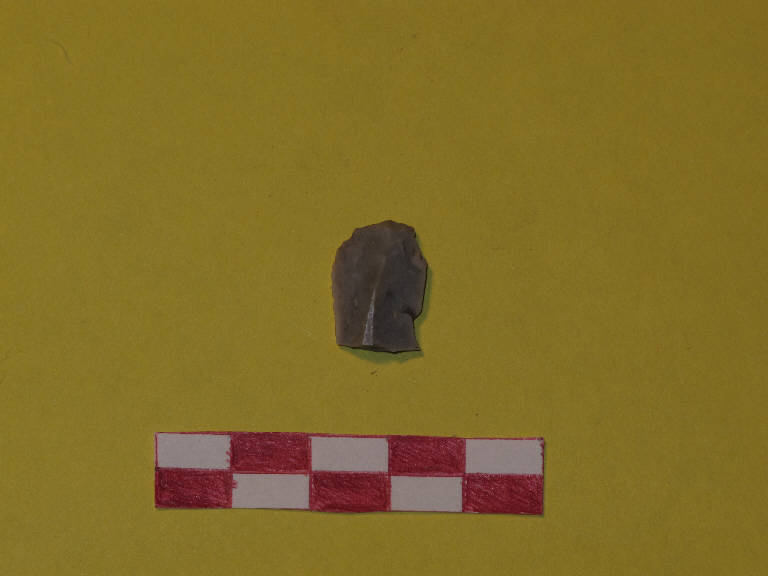 grattatoio frontale corto - Gruppo del Vhò - cultura di Fiorano (sec. XLIII a.C.)