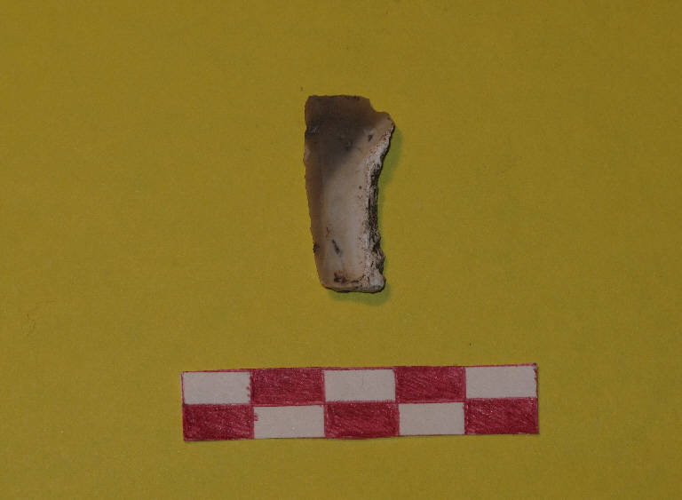 raschiatoio laterale - Gruppo del Vhò - cultura di Fiorano (sec. XLIII a.C.)