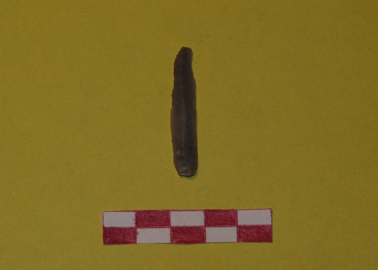 lamella rotoccata - Gruppo del Vhò - cultura di Fiorano (sec. XLIII a.C.)
