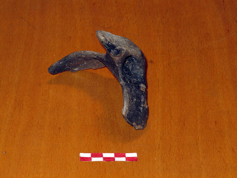 capeduncola/forma parzialmente ricostruibile - cultura palafitticolo-terramaricola (bronzo antico II)