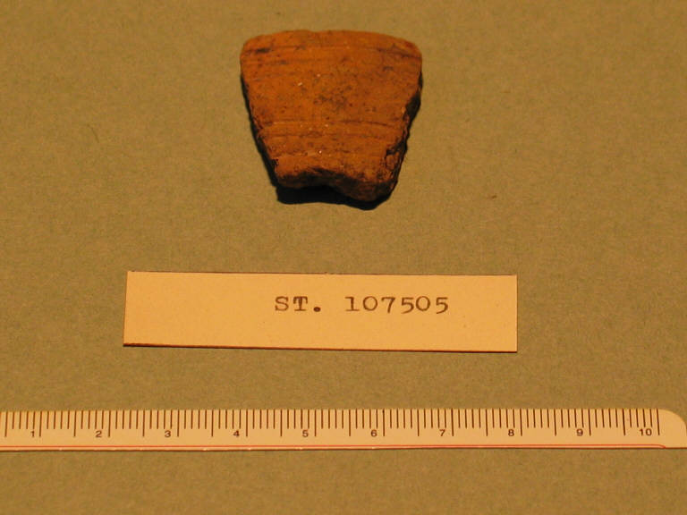 ciotola/frammento - cultura palafitticolo-terramaricola (bronzo antico-medio)