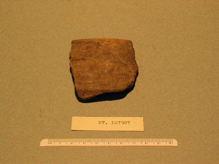 tazza/frammento - cultura palafitticolo-terramaricola (bronzo antico-medio)