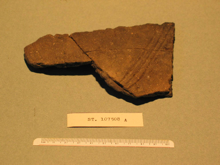 fondo - cultura palafitticolo-terramaricola (bronzo antico-medio)