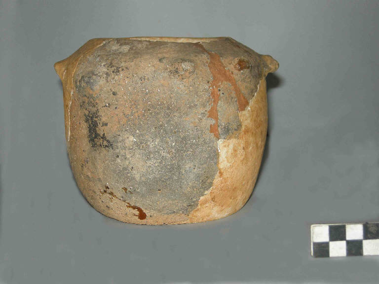 vaso - Cultura della Lagozza (Neolitico Recente)
