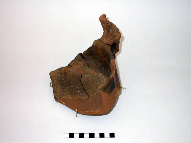 tazza-attingitoio - Cultura palafitticolo-terramaricola (Età del Bronzo Medio)
