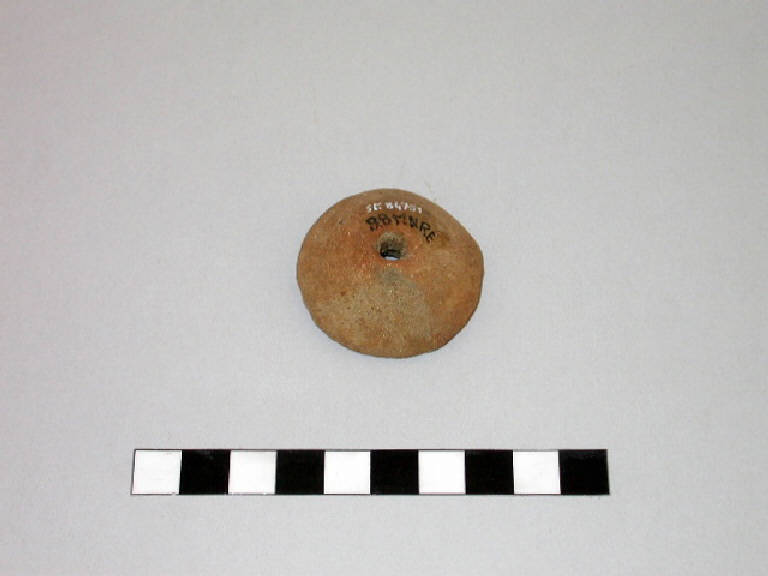 fusaiola - Cultura palafitticolo-terramaricola (Età del Bronzo Medio)