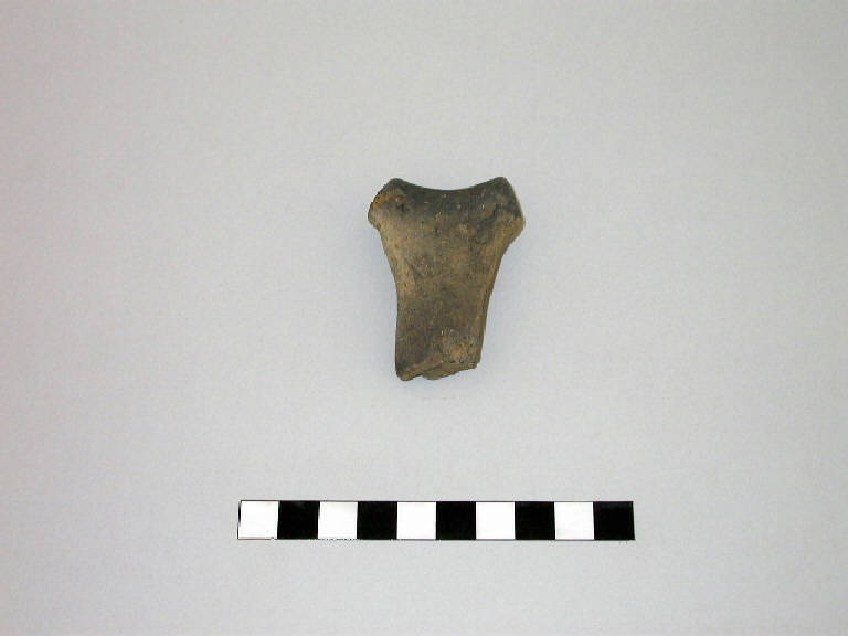 ansa - Cultura palafitticolo-terramaricola (Età del Bronzo Medio)