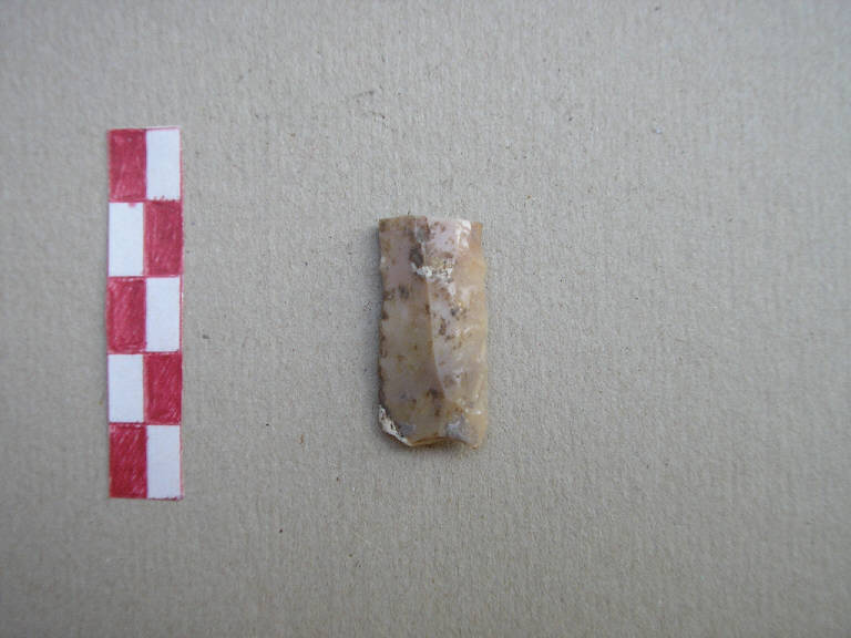 falcetto - Cultura palafitticolo-terramaricola (Età Neolitica)
