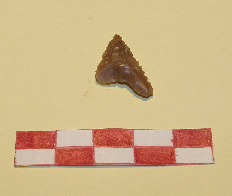 punta di freccia - Cultura palafitticolo-terramaricola (Età Neolitica)